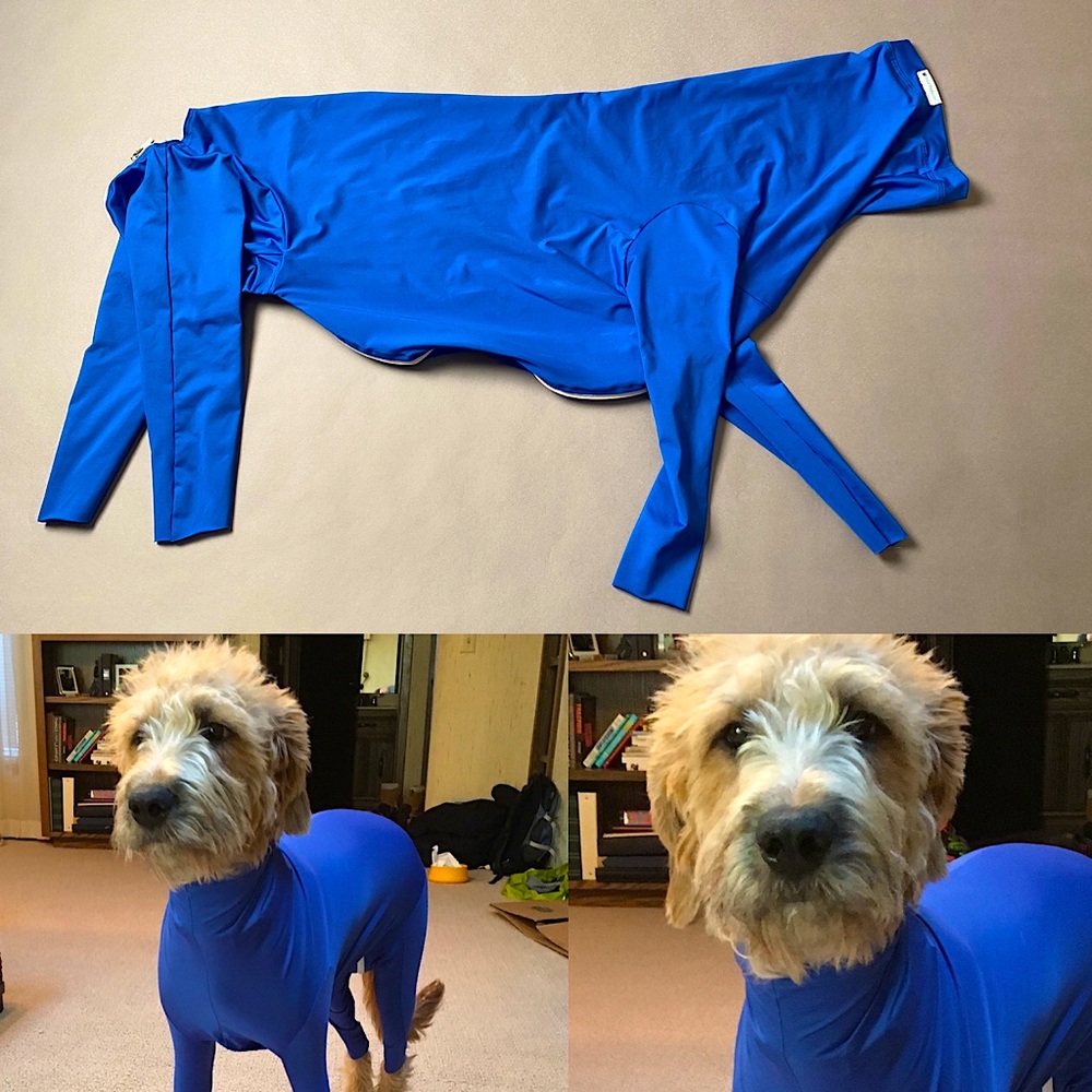 Shed Defender - Size: Large (41 – 60 lbs.) Color Blue